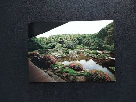 《 欧美亚非洲等国早期 庭院 植物 自然 风景 明信片 商品如图 》四2506-8------满25元包邮挂号信挂号印刷品 可暂存多期合并发货