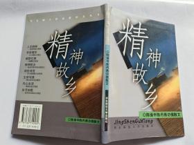 陈保平陈丹燕访俄散文：精神故乡   【2001年华东师范大学出版社精装一印，156页】