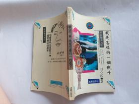 刘心武 著：我是怎样的一个瓶子   【1993年成都出版社一印，140页】