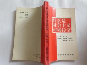 什么是社会主义市场经济   【1994年中国发展出版社4印，308页】