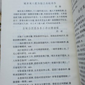 《笔记小说大观》【全19册，汉魏六朝全一册，唐五代全二册，宋元全六册，明代全四册，清代全六册】