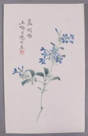 民国著名书画家 王师子画作 木板水印花笺纸一张（尺寸：28.7*17.6cm）  HXTX338732