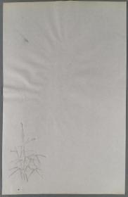 民国时期  “竹” 花笺纸 一件 HXTX290034