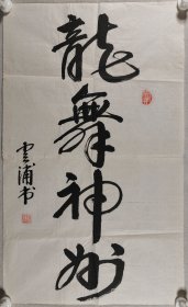 少将军衔、原国防科工委后勤部副部长 沈云浦 书法作品《龙舞神州》一幅（纸本软片，约3.8平尺，钤印：沈云浦印）HXTX411625