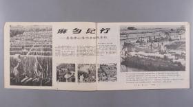 1972 - 1978年 浙江工农兵画报社、河北人民出版社等出版《工农兵画报》《河北画刊》《工农兵人物写生》等 一组八册 HXTX335134