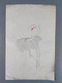 民国时期 花卉花笺纸一件 HXTX343282