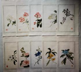 20张多彩花卉笺子  对开