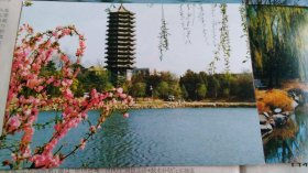 早期北京大学明信片9张。