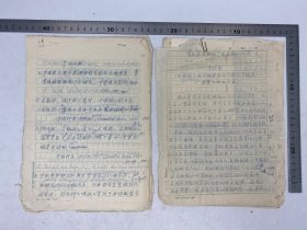 李铭新（肿瘤病因学家）旧藏：李铭新 《食物中天然化学致癌物的研究》 等 手写 复写 手稿 合售 【250619 38】