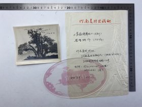 宣南精品：梁育湘（已故河南美术出版社编辑）签名 木刻  版画《嵩岳将军柏》原版 照片 及 手写 说明 文字 一页（人美社美术、考古文献）【231219 17】