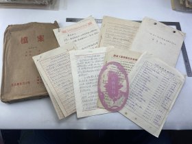 钢铁设计院史料：六、七十年代 王厂（1912-？，老革命，金色冶金设计总院副院长） 相关 资料 一组【240222 28】