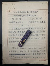 天津名人陸子豪（1918年7月 -），農(nóng)學(xué)泰斗，中國(guó)園藝高等教育事業(yè)開(kāi)拓者，中國(guó)農(nóng)業(yè)大學(xué)園藝系主任，著名白菜專家，創(chuàng)建北京農(nóng)業(yè)大學(xué)蔬菜栽培專業(yè)，陸子豪、王根祥手稿，大筒子頁(yè)11頁(yè)