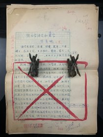 湖北汉川名人张首映(1959～)，著名学者、文学评论家，现任中国新闻文化促进会会长（副部级）、人民日报社原副总编辑。张首映《论文学语言和用字》漂亮手稿，大8开86页，引文注释1页，有出版（出版物拍友可自寻），名家手稿，值得珍藏