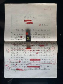 湖北孝感名人，著名作家朱晓玲小说《林中彩虹》手稿 大8开19页