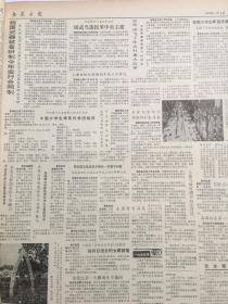 安徽日报1987年2月原版合订本 《人民文学》发表丑化侮辱藏族同胞小说受批 主编刘心武停职检查 人民日报评论员文章：接受严重教训 端正文艺方向/邓小平1962年2月6日在扩大的中央工作会议上的讲话/人民日报社论：把反对资产阶级 自由化的斗争持续健康地开展下去