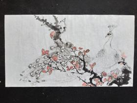 纯手绘原创花鸟画无款， 画心尺寸：97*55厘米 Y68-38