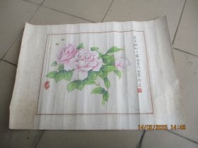 福建老师郑君，品好如图。