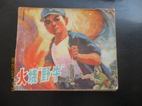 品好连环画《火烧野牛》1973年，1册全，一版一印，福建人民出版社，品好如图。