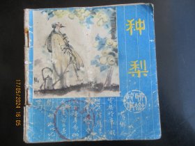 大开本彩色连环图《种梨》1981年，1册全，一版一印，人民美术出版社，48开，品好如图。