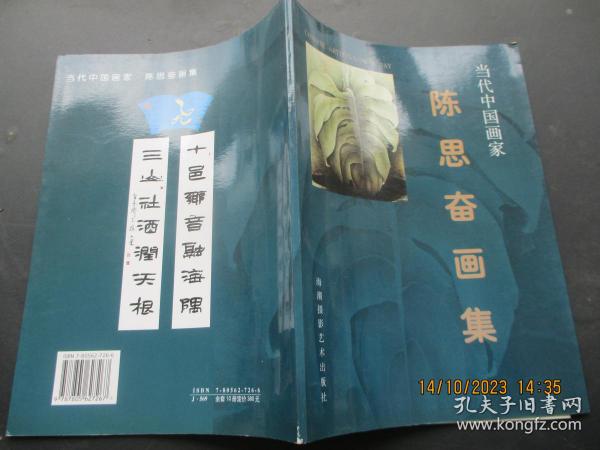 鉴名本艺术画册《陈思奋画集》2000年，1册全，海潮摄影艺术出版社，16开，品好如图。