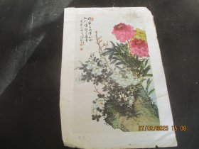 1962年，牡丹画一张，上海人民美术出版社，品好如图。