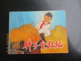 直版连环画《种子金灿灿》1975年，1册全，一版一印，天津人民美术出版社，品自定如图