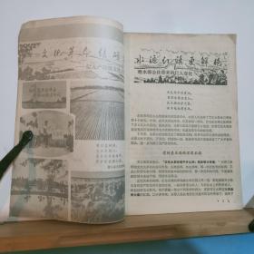 **版  新农业 1976年第10期 （总157期）  全一册 插图本  1976年5月 辽宁新农业杂志社  一版一印 内容：封面 垦区新花