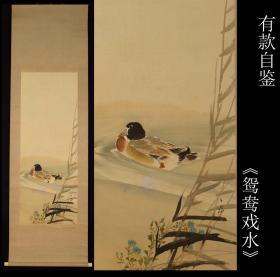 有款自鉴《鸳鸯戏水》绢本 原箱 原装原表 全尺寸194X63CM 画心尺寸112X42CM