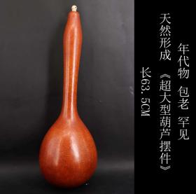 年代物 美品 罕见 日本购回 《天然形成 超大型葫芦摆件》制作精美  形状独特  尺寸长63.5X19X径6.6CM  重209克