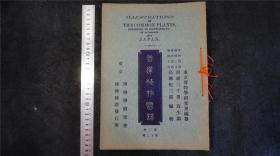 【精美石版画册】1918年《普通植物图谱》第三卷10册， 日本出版，石印图谱，图画精美清晰。