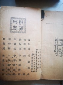 泪珠缘 封面漂亮 天虚我生著 中华图书馆出版版32开