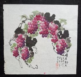 邓义伦：四川著名画家.中国老年书画研究会会员花鸟画软件 【彩墨葡萄】一幅，画心尺寸：53*50厘米 约3平尺