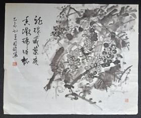 （保真）余国珣：四川省美术家协会会员，中国国际美术家联合会会员，陈子庄艺术研究会理事，四川雅缘书画院副院长，青城山道教艺术书画研究院理事2015年花鸟画软件（水墨葡萄），画心尺寸：83*69厘米【约5.2平尺】