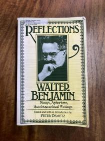 walter bejamin 本雅明， essay, aphorisms, autobiographical writings, schokenbooks,