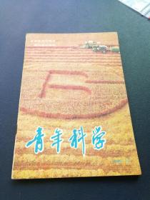 青年科学