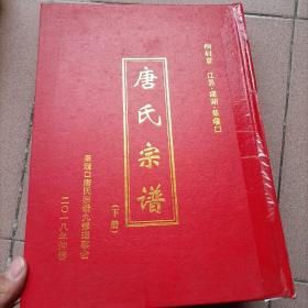 精装本桐封堂《唐氏宗谱》江苏省建湖县草堰口唐氏(封面是下册 ，实际上是上册 )