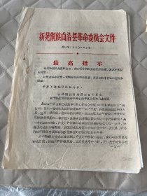 新晃文献   1968年新晃县关于执行平反政策的几点意见