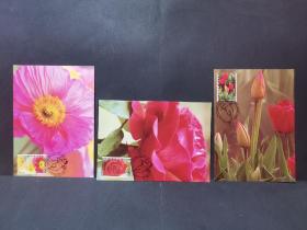 澳大利亚玫瑰、郁金香、罂粟  极限片（3枚）