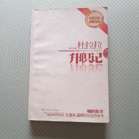 杜拉拉升职记