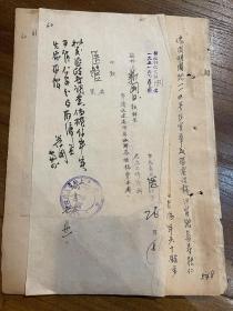 1951年上海市人民政府卫生局关于新闻日报来函江宁区王姓老妪无照行医一案回复公函4页档案卫生局崔局长批复