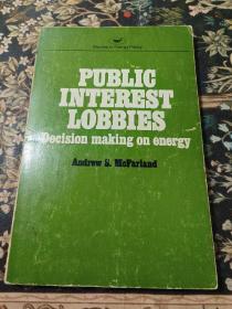 PUBLIC INTEREST LOBBIES Decision making on energy