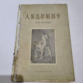 1960年人体造形解剖学，缺页