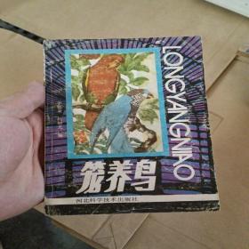 笼养鸟
