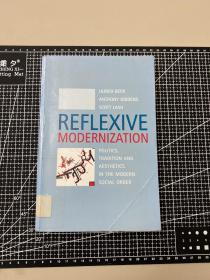 reflexive modernization, politics, tradition and aesthetics in the modern social order, ulrich beck, anthony giddens, polity,2000