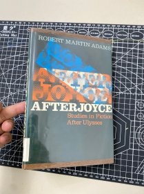 after joyce. studies in fiction after ulysses. robert martin adams. oxford 1977