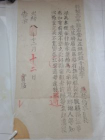 光绪八年，高平县（告示）一大张，特授高平县右堂加五级纪录十次李为禁约事照得
