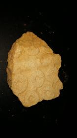 距今2000年西汉王莽大泉五十陶质钱范，12x9x5cm，如砖头大小，十分罕见。陶范因高温制币后即成碎块，整块及大块很少。古泉收藏之大吉纳财之物，镶进框里效果更好。 中国的古钱币“大泉五十”流传久远，是西汉王莽所铸造。西汉晚期，王莽篡位，建立新朝，先后对货币制度进行4次改革，留下了一批制作精良的钱币。