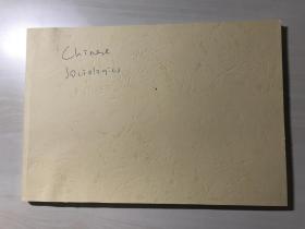 【英文原版】学习参考资料（Chinese Sociologics） 品相自鉴