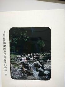 八十年代佚名摄影家拍摄《杭州风景·夏季瀑布下玩水的少女们》120高清风景反转片一张