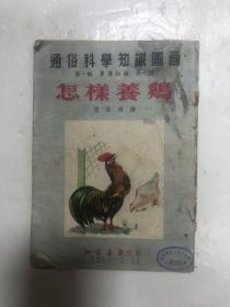 52年北京书店版绘画本陆咏南绘《怎样养鸡》